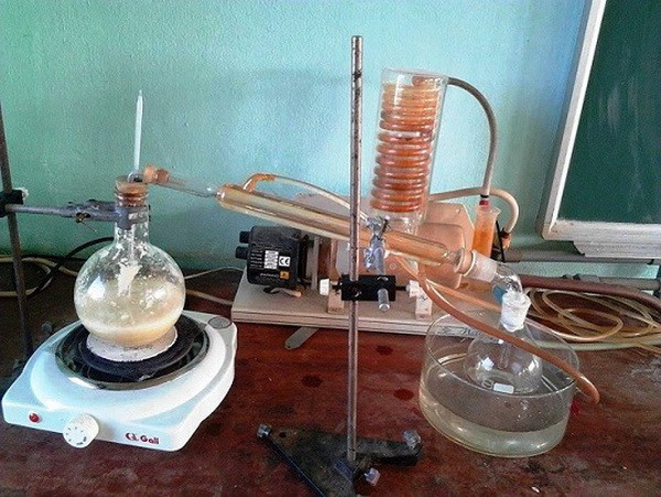 Chiết xuất thành công tinh dầu tỏi thành dạng viên nang ảnh 2