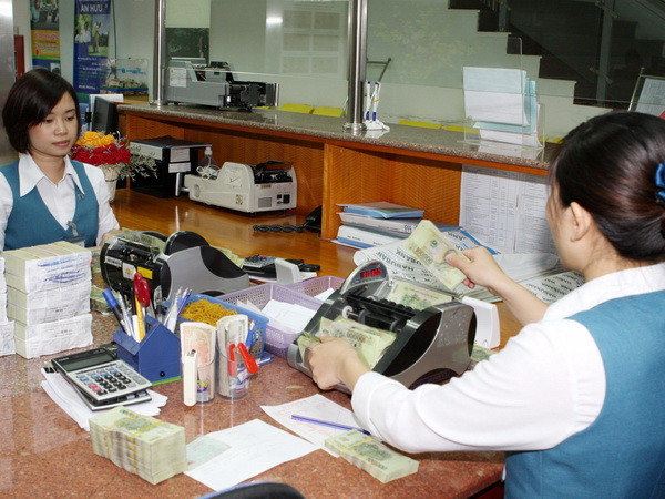 Mức tăng trưởng tín dụng ở Đồng Nai cao hơn trung bình cả nước ảnh 1