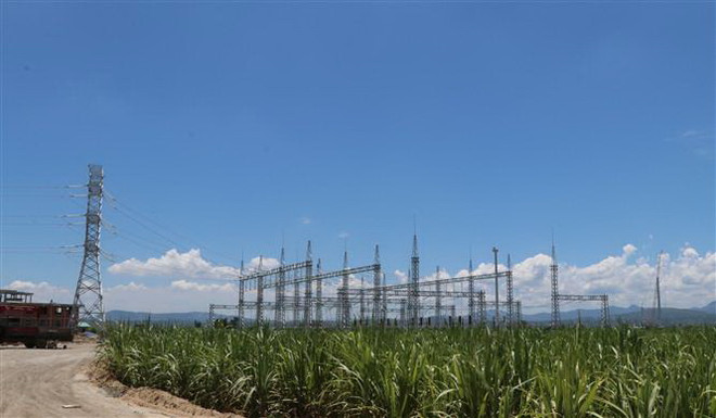 Cơ chế nào khuyến khích cho sự phát triển của điện sinh khối? ảnh 1