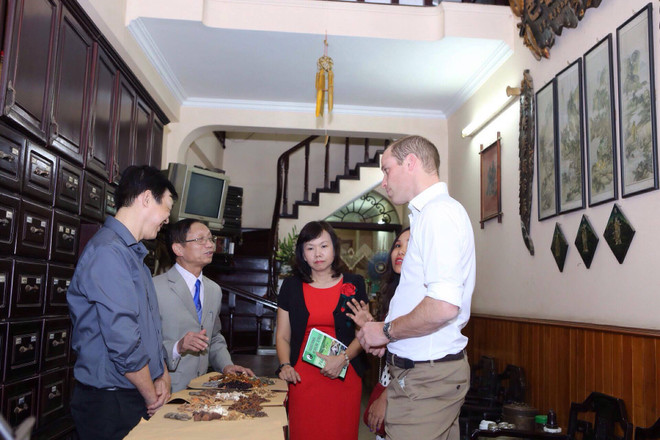 Hoàng tử Anh William thăm cửa hàng Đông y trên phố cổ Hà Nội ảnh 13