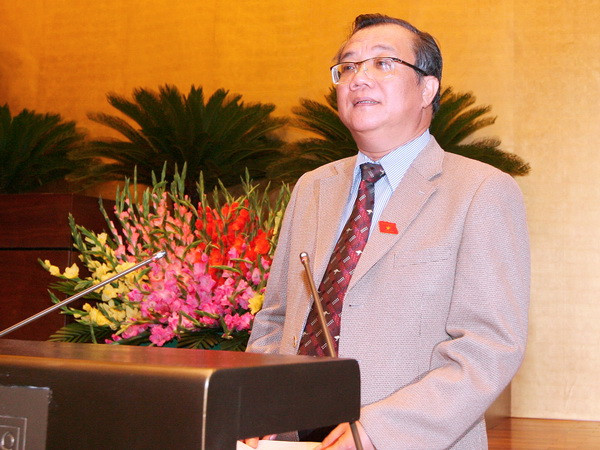 Đề nghị làm rõ hơn trách nhiệm của Hội đồng bầu cử Quốc gia ảnh 1