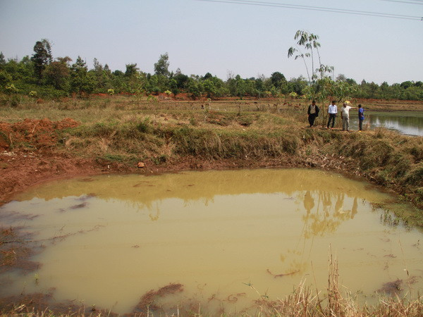 Gia Lai: Được nghỉ học rủ nhau tắm ao, 3 học sinh tiểu học tử vong ảnh 1