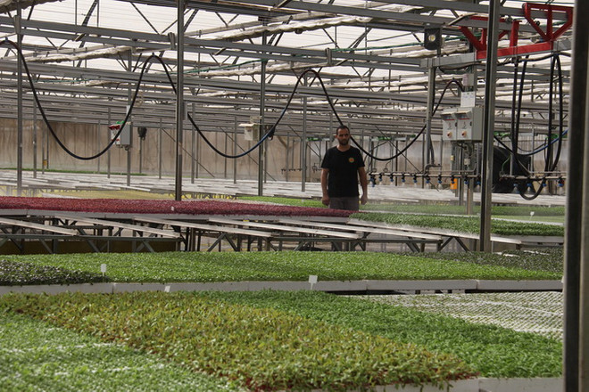 Quan hệ hợp tác Việt Nam-Israel sẽ ngày càng được củng cố phát triển ảnh 2