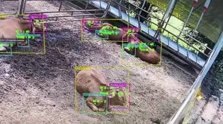 Trao giải I-STARTUP 2021 xuất sắc cho các công ty Hàn Quốc ảnh 2