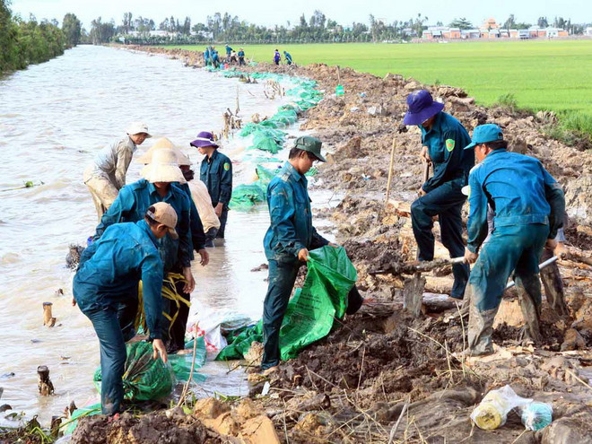 Đồng Tháp ưu tiên đầu tư 7 dự án ứng phó với biến đổi khí hậu ảnh 1