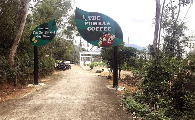 Bình Định: Làm rõ việc xây dựng trái phép tại Khu du lịch Suối Tiên ảnh 2