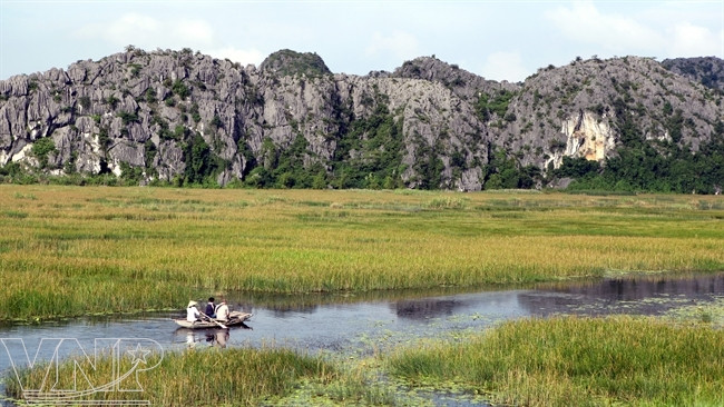 Kỳ thú Khu bảo tồn thiên nhiên đất ngập nước Vân Long ảnh 3