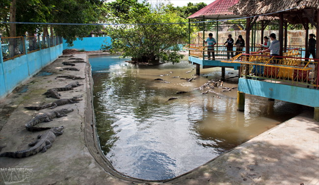 Khu du lịch Vinh Sang - Đồng bằng sông Cửu Long thu nhỏ ảnh 4