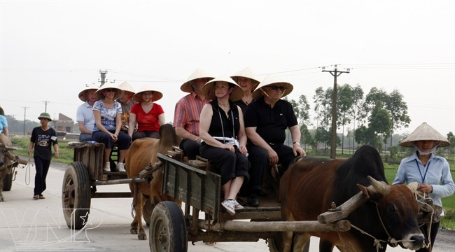 Kỳ thú Khu bảo tồn thiên nhiên đất ngập nước Vân Long ảnh 7