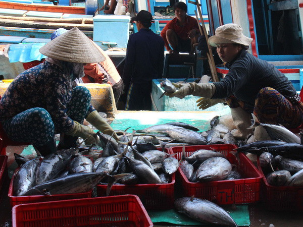 Tăng mức phạt đối với hành vi vi phạm trong hoạt động thủy sản ảnh 1