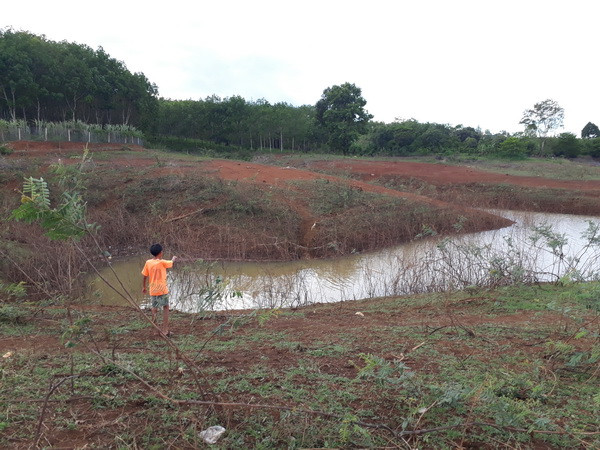 Rủ nhau đi bắt cá, hai học sinh bị đuối nước tại Ninh Thuận ảnh 1
