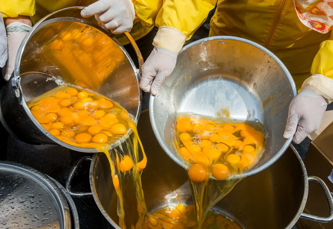 Phần Lan phát hiện lượng nhỏ chất Fipronil trong trứng nhập khẩu ảnh 1