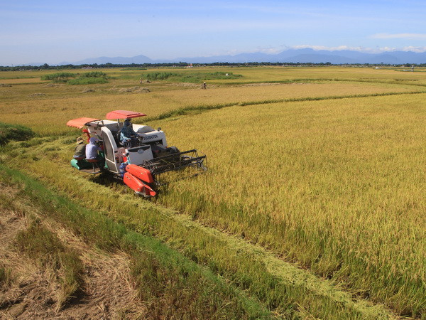 Cảnh báo nguy cơ đe dọa sản lượng nông nghiệp ở châu Á-TBD ảnh 1