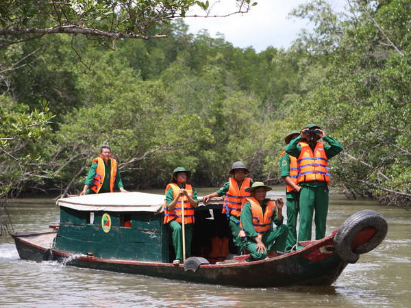 Đầm nuôi tôm tự phát đang xóa sổ rừng ngập mặn Đồng bằng sông Cửu Long ảnh 1