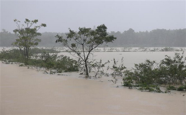 Lại có thêm người chết và mất tích do mưa lũ tại miền Trung ảnh 1
