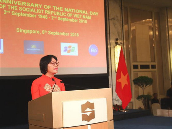Hợp tác Việt Nam-Singapore đóng góp cho Cộng đồng ASEAN phát triển ảnh 1