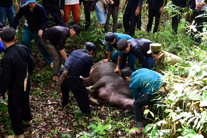 Độc đáo Lễ cúng rừng của người dân tộc Nùng tại Hà Giang ảnh 2