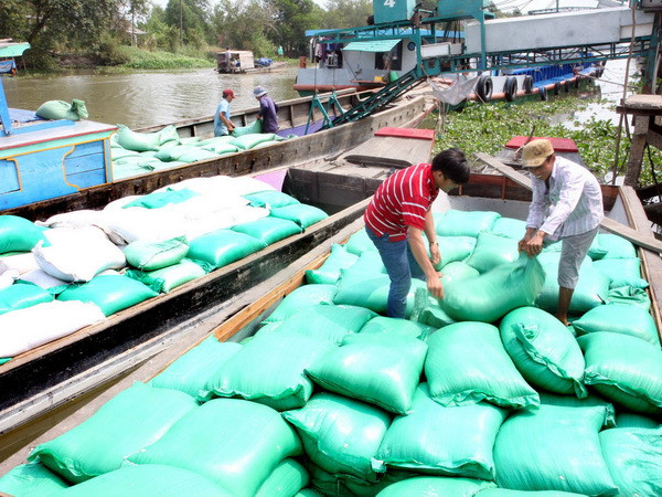 Doanh nghiệp tại Long An hoàn thành chỉ tiêu thu mua lúa tạm trữ ảnh 1