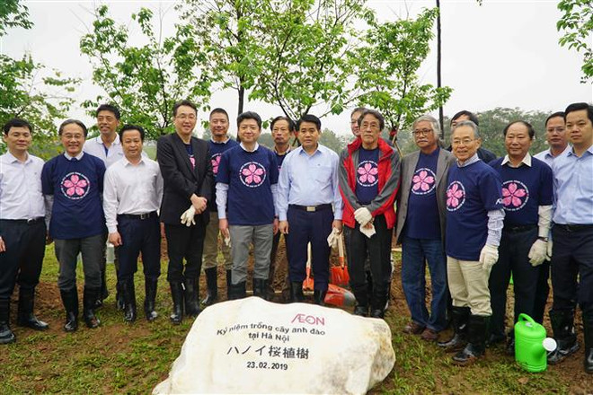 Hà Nội trồng thêm 1.000 cây hoa anh đào tại Công viên Hòa Bình ảnh 1