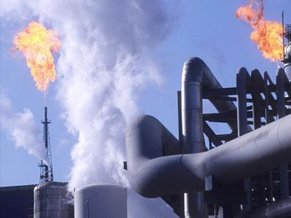 Kho dầu dự trữ Mỹ cao kỷ lục đẩy giá dầu thế giới đi xuống ảnh 1