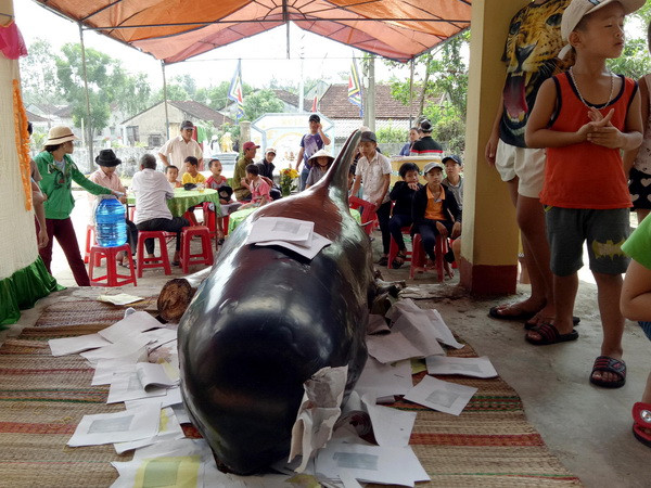 Quảng Ngãi: Cá voi liên tiếp dạt vào bờ biển huyện Bình Sơn ảnh 1