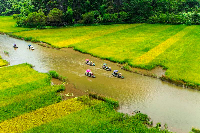 Bí kíp đi du lịch ở Ninh Bình giữa “mùa vàng” Tam Cốc ảnh 3