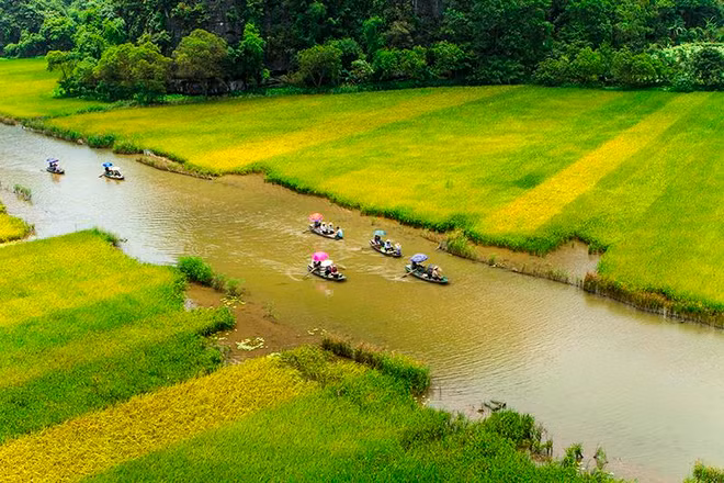 Bí kíp đi du lịch ở Ninh Bình giữa “mùa vàng” Tam Cốc ảnh 3