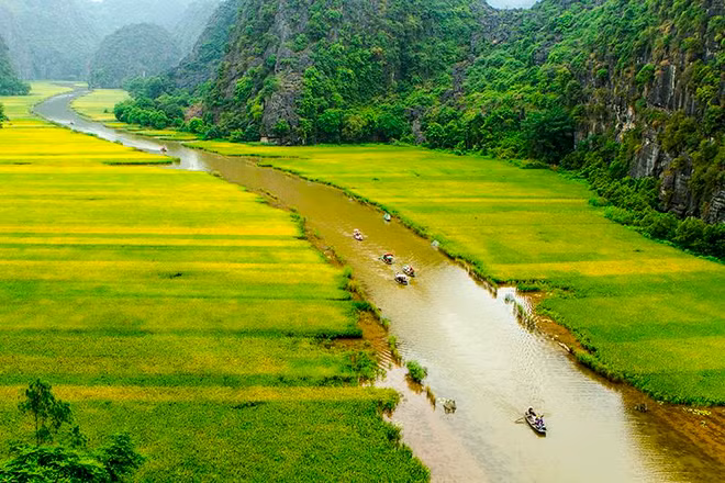 Bí kíp đi du lịch ở Ninh Bình giữa “mùa vàng” Tam Cốc ảnh 11