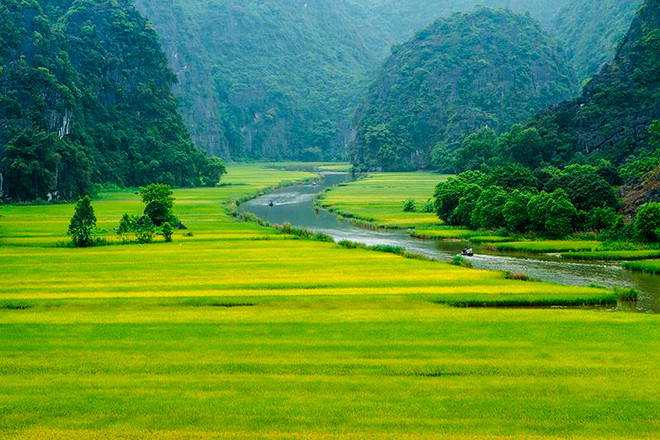 Bí kíp đi du lịch ở Ninh Bình giữa “mùa vàng” Tam Cốc ảnh 2