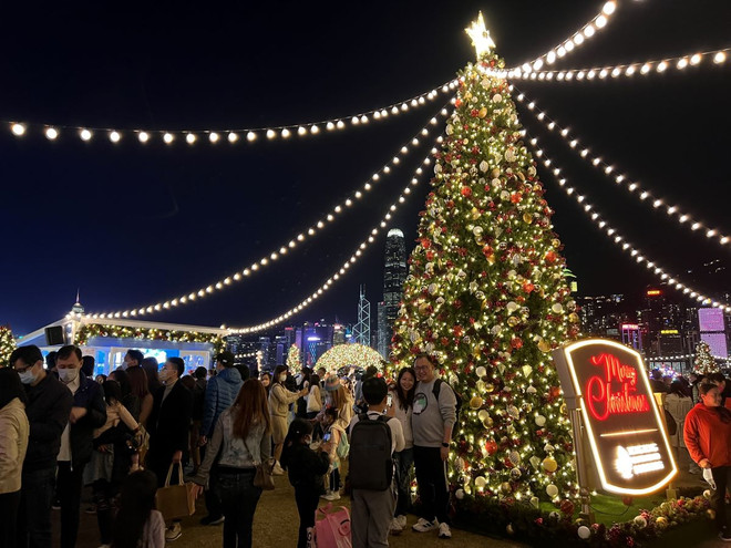 ttxvn_cay thong (2).jpg