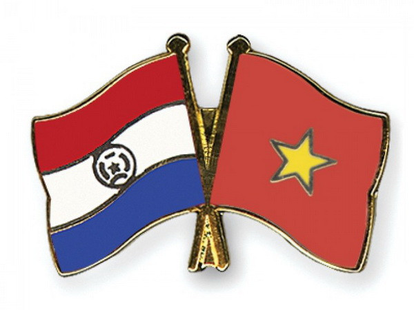 Hai Bộ Ngoại giao Việt Nam và Paraguay tham khảo chính trị ảnh 1