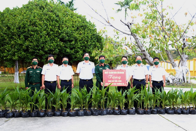 Khánh Hòa: 2.000 cây dừa xiêm giống tặng huyện đảo Trường Sa ảnh 1