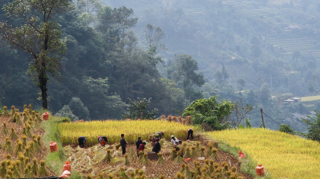 Gìn giữ văn hóa người Cờ lao đỏ: Một số nét đặc trưng bị mai một ảnh 1