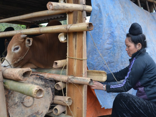 Không khí lạnh tiếp tục chi phối, Bắc Bộ và Trung Bộ trời rét đậm ảnh 1