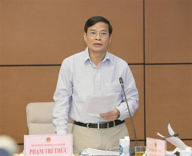 Tổ chức chính quyền đô thị tại TP.HCM tinh gọn, hợp lý, hiệu quả ảnh 3