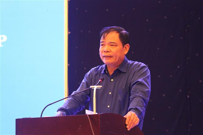 Dồn lực khôi phục sản xuất nông nghiệp sau bão lũ ở miền Trung ảnh 3