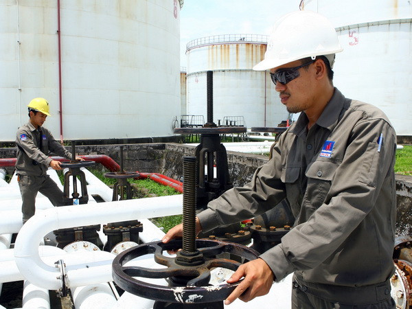 PVN phấn đấu đạt doanh thu 383.000 tỷ đồng trong nửa cuối năm ảnh 1