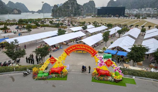 Dừng và thu hẹp quy mô tổ chức các hoạt động văn hóa dịp Tết Tân Sửu ảnh 1