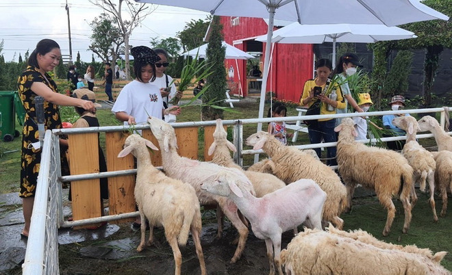 Bạc Liêu làm mới du lịch để thu hút du khách tham quan ảnh 1