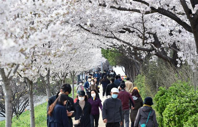 Hàn Quốc bổ sung hơn 6 tỷ USD hỗ trợ người dân ứng phó dịch COVID-19 ảnh 1