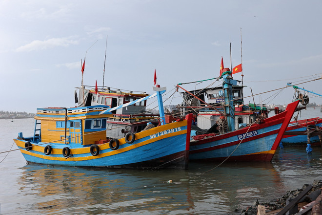 Tàu đánh bắt cá cơm có chiều dài dưới 15m nằm bờ hàng loạt tại phường 12, thành phố Vũng Tàu vì giấy phép không phù hợp với quy định vùng đánh bắt. (Ảnh: Hoàng Nhị/TTXVN) ttxvn_tau ca Vung Tau.jpg