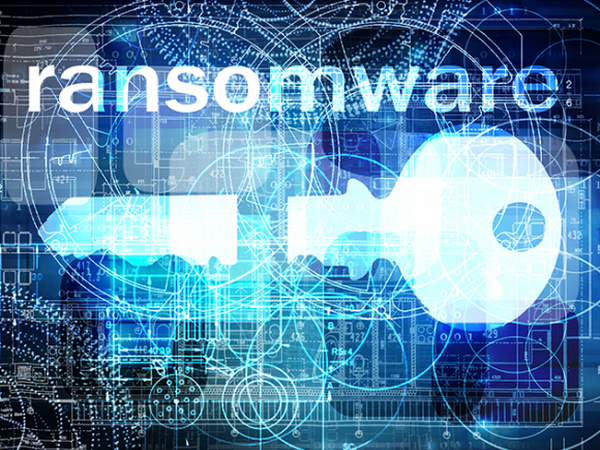 Hơn 82.000 cuộc tấn công mạng nhằm vào Đức trong năm 2016 ảnh 1