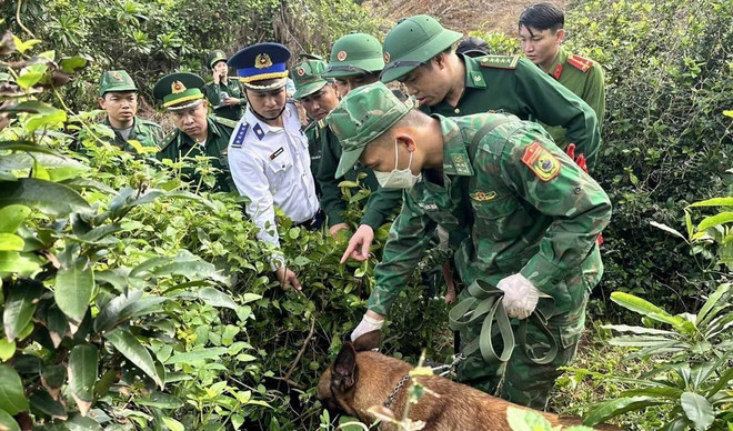Lực lượng bộ đội biên phòng tỉnh Quảng Ngãi phối hợp truy tìm ma túy dọc bờ biển xã Bình Hải, huyện Bình Sơn. (Ảnh: TTXVN phát) ttxvn_ma tuy Quang Ngai1.jpg