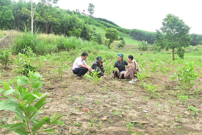Tín dụng chính sách góp phần giảm nghèo bền vững tại Đắk Lắk ảnh 3