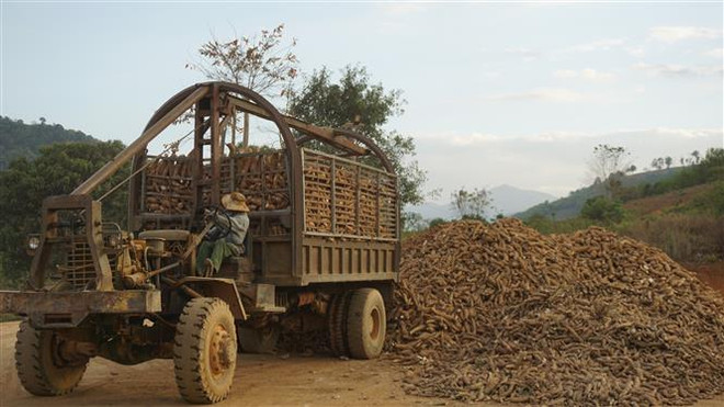 Hiệu quả từ chính sách đặc thù đối với đồng bào dân tộc Rơ Măm ảnh 1