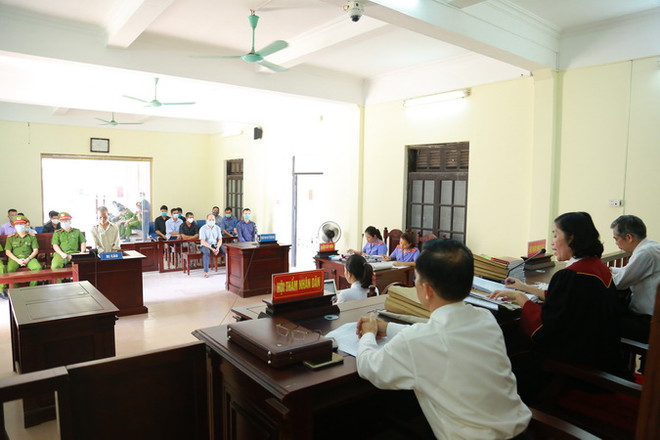 Quảng Ninh: Đối tượng hủy hoại rừng nhận án 18 tháng tù giam ảnh 1