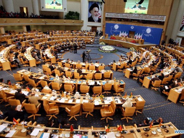 Bắt đầu hoạt động của Hội nghị thượng đỉnh lần thứ XVII NAM ảnh 1