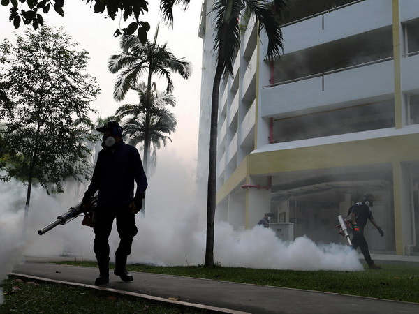 Thêm 15 trường hợp nhiễm virus Zika mới được phát hiện ở Singapore ảnh 1