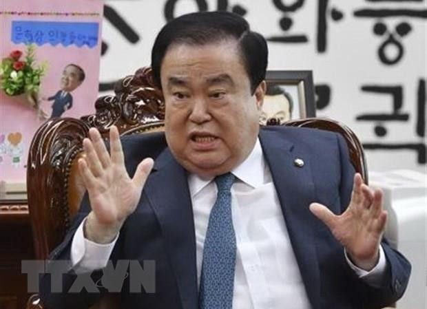 Chủ tịch Quốc hội Hàn Quốc Moon Hee-sang. (Nguồn: Kyodo/TTXVN) Hàn cảnh báo về sự hoài nghi với mục tiêu phi hạt nhân hóa Triều Tiên ảnh 1