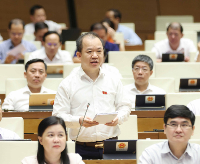 ttxvn_tien sy Bui Hoai Son.jpg